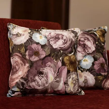 Apartment Meteora Olio Hills Kalambaka